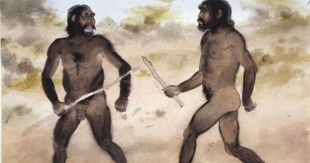 À l’instar d’Homo sapiens, comment Homo erectus a su dompter le désert