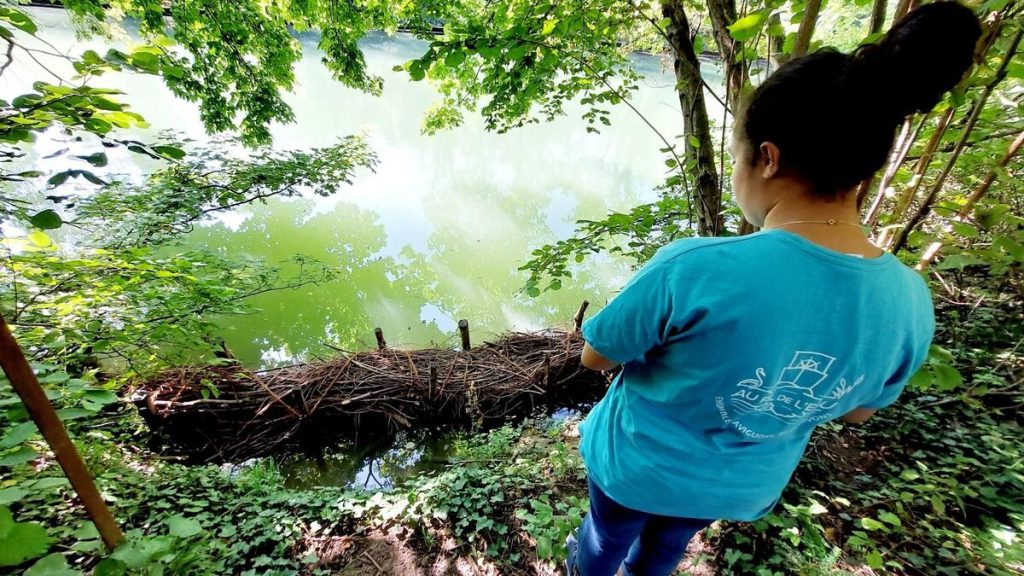 « Ça sentait très fort sur plusieurs kilomètres » : importante pollution sur la Marne à Nogent