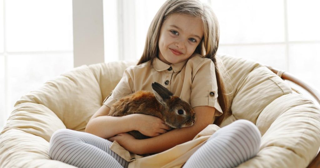 Comment déterminer l’âge d’un lapin ?