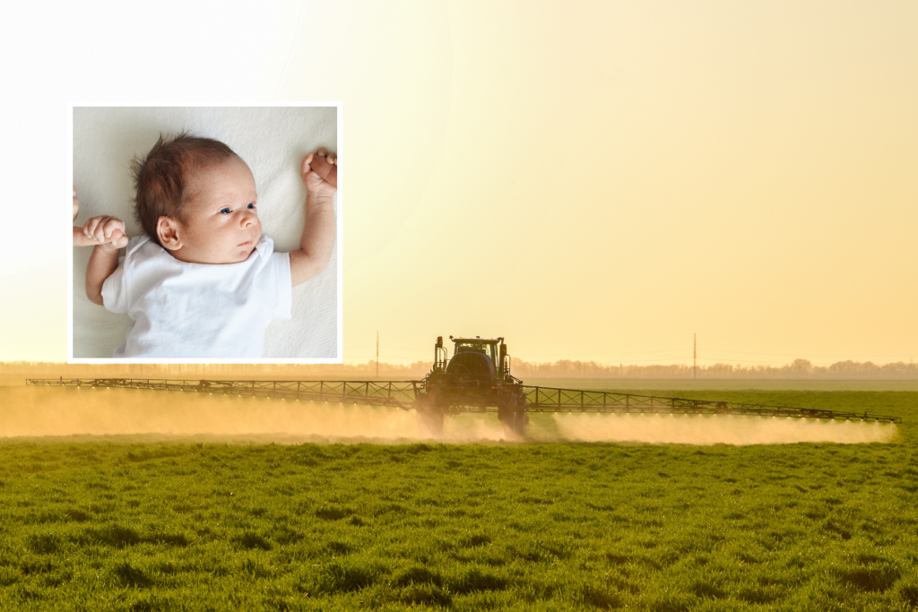 Baby and glyphosate