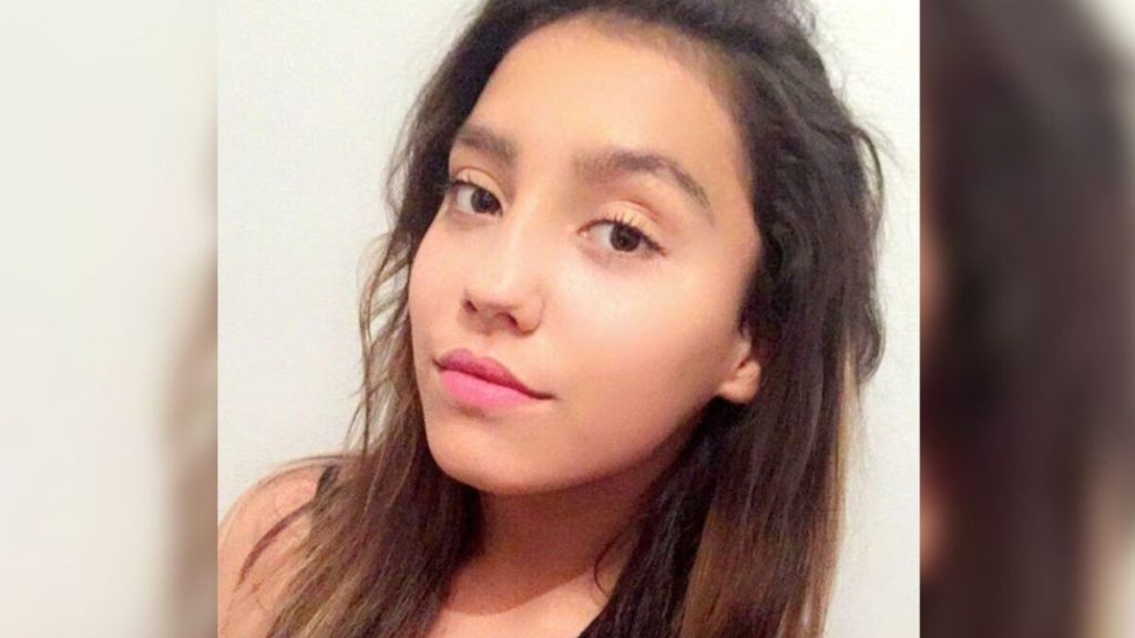 « Elle voulait défendre ses amis » : le meurtrier présumé de Lilibelle, 14 ans, tuée lors d’une rixe, jugé à Évry