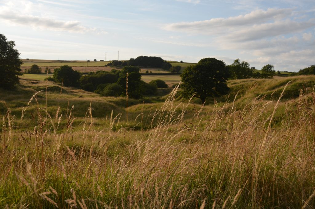 The site of a Roman lead mine