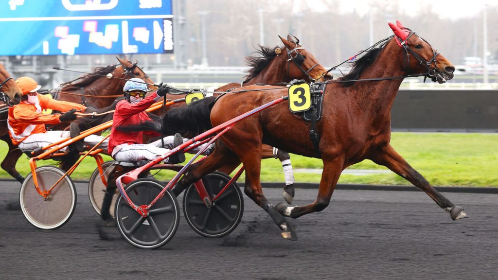 PMU - Arrivée du quinté du samedi 18 janvier à Paris-Vincennes : Isofou du Chêne comme bon présage