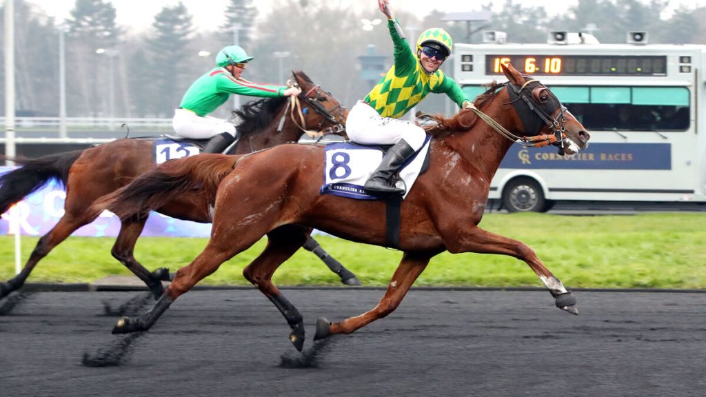 PMU – Arrivée du quinté du dimanche 19 janvier à Vincennes : Joumba de Guez sur un nuage