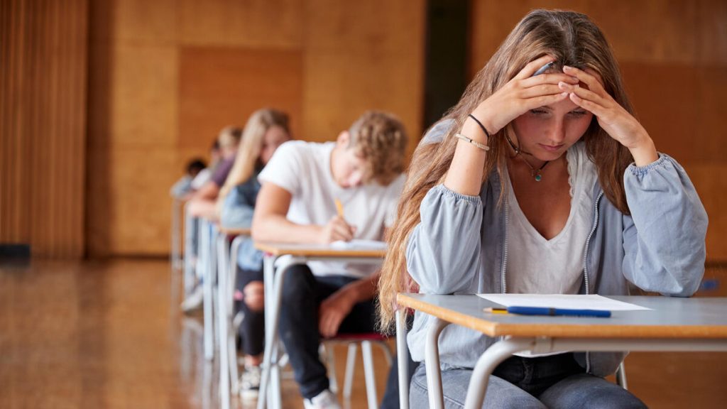 Partiels : pourquoi les étudiants sont-ils si stressés ?