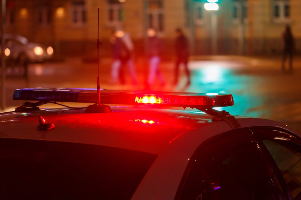 Alabama Deer Crash Shooting
