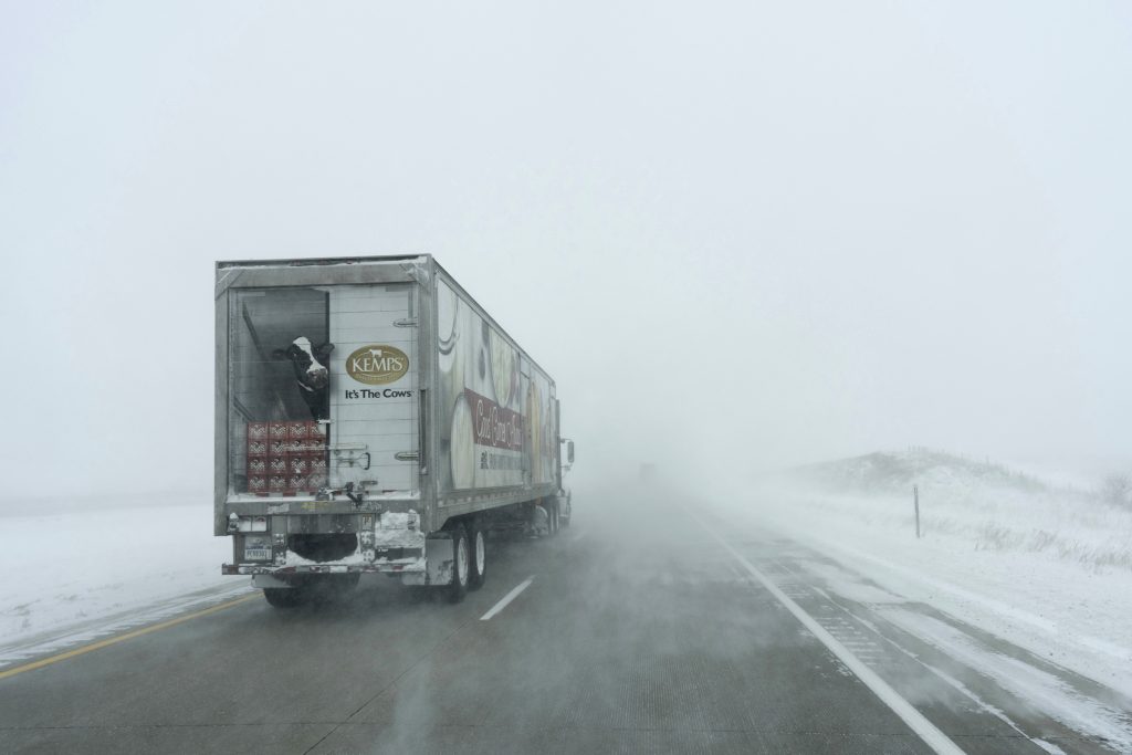 Winter storm