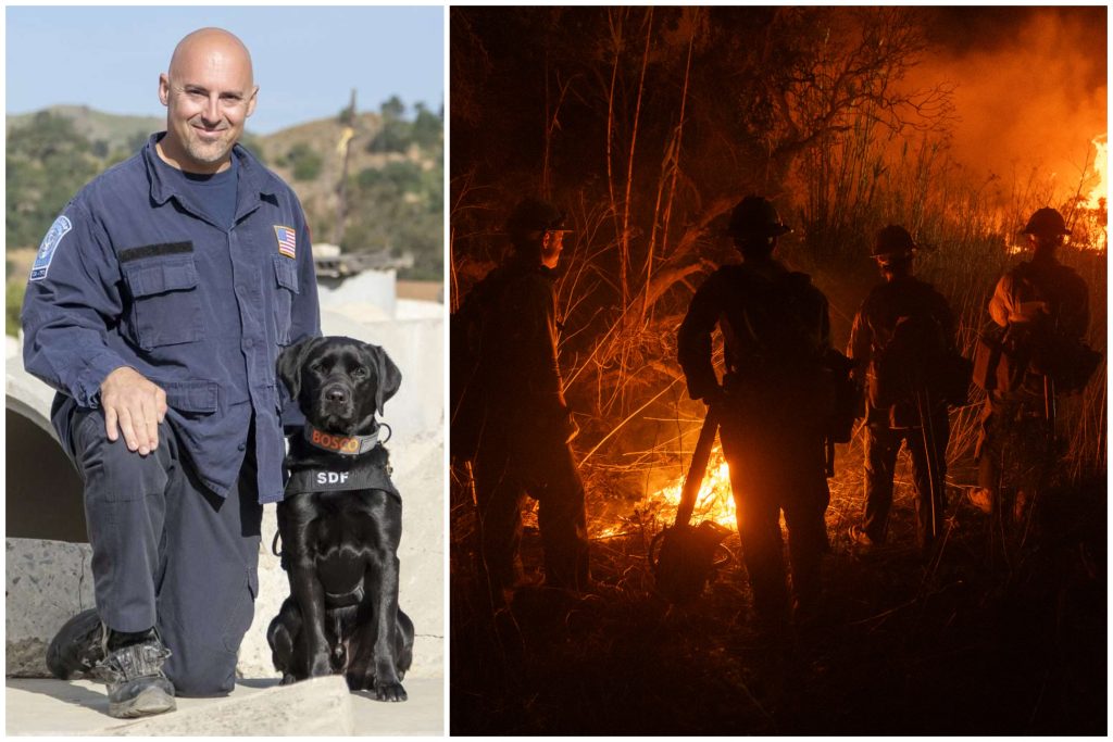 Search Dog Foundation