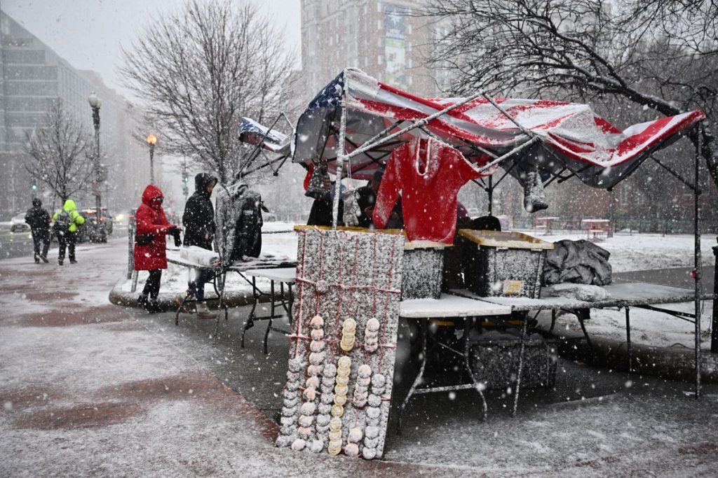 Snowfall in Washington DC