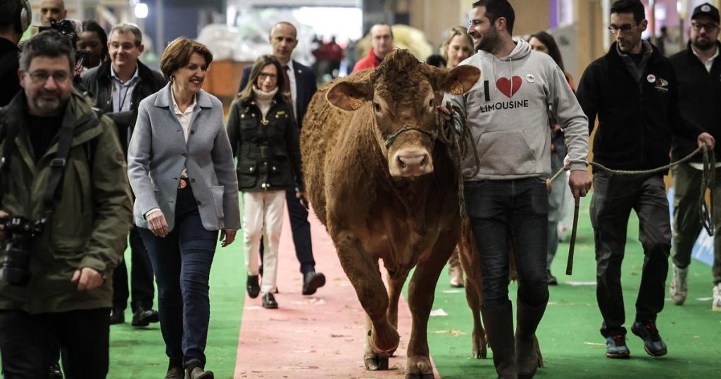 Agriculture : un an après la fronde, un Salon pour calmer les tensions