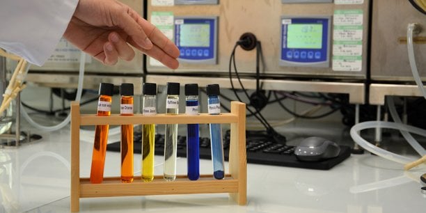 Parmi leurs diverses propriétés, certaines microalgues disposent d