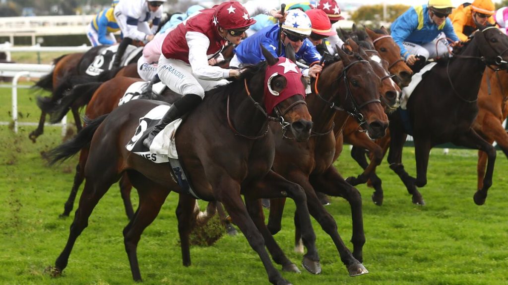 Arrivée du quinté du lundi 10 février à Cagnes-sur-Mer : Joh Spirit fait vibrer ses preneurs