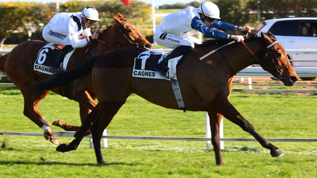 Arrivée du quinté du mercredi 5 février à Cagnes-sur-Mer : Good Gift malgré le poids