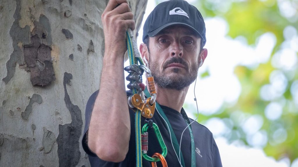 Autoroute A69 : Thomas Brail et des militants perchés dans des arbres avant une audience décisive