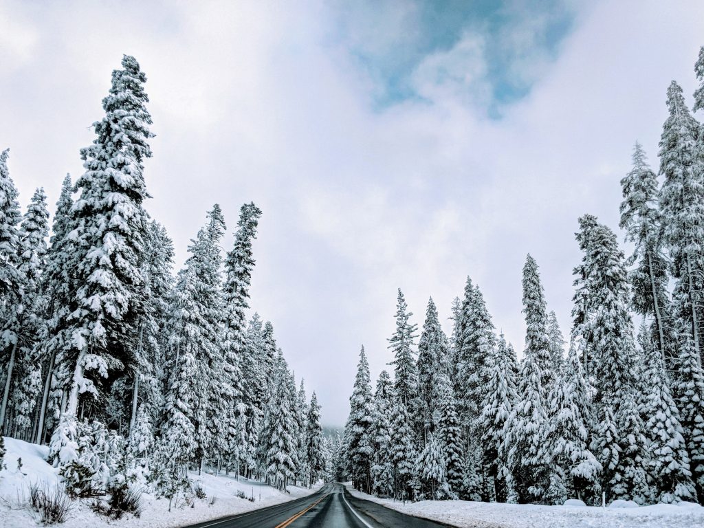 California snowpack on track milestone