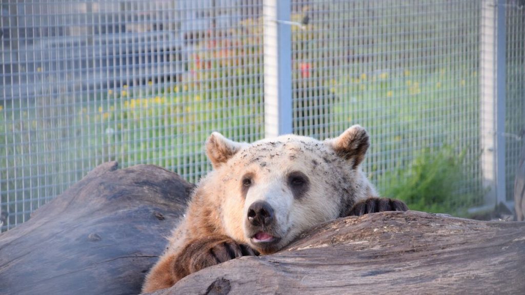 Des idées de sortie pour la dernière semaine de vacances en Eure-et-Loir