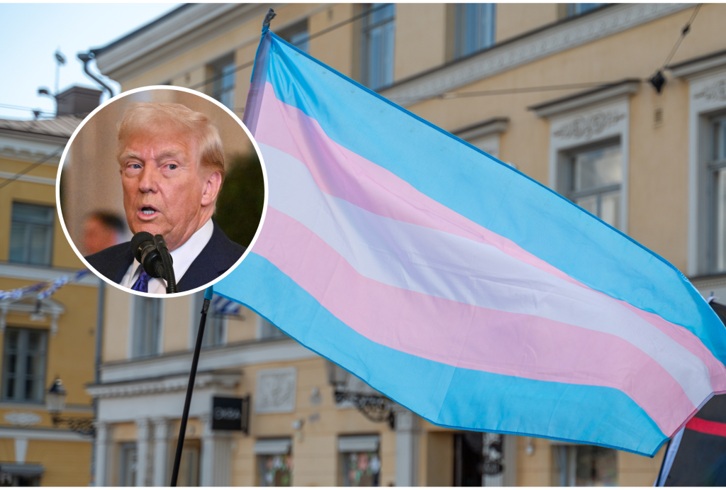 Trump transgender flag