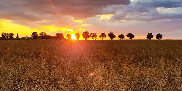 La coopérative Euralis fait face à une hausse des taux d