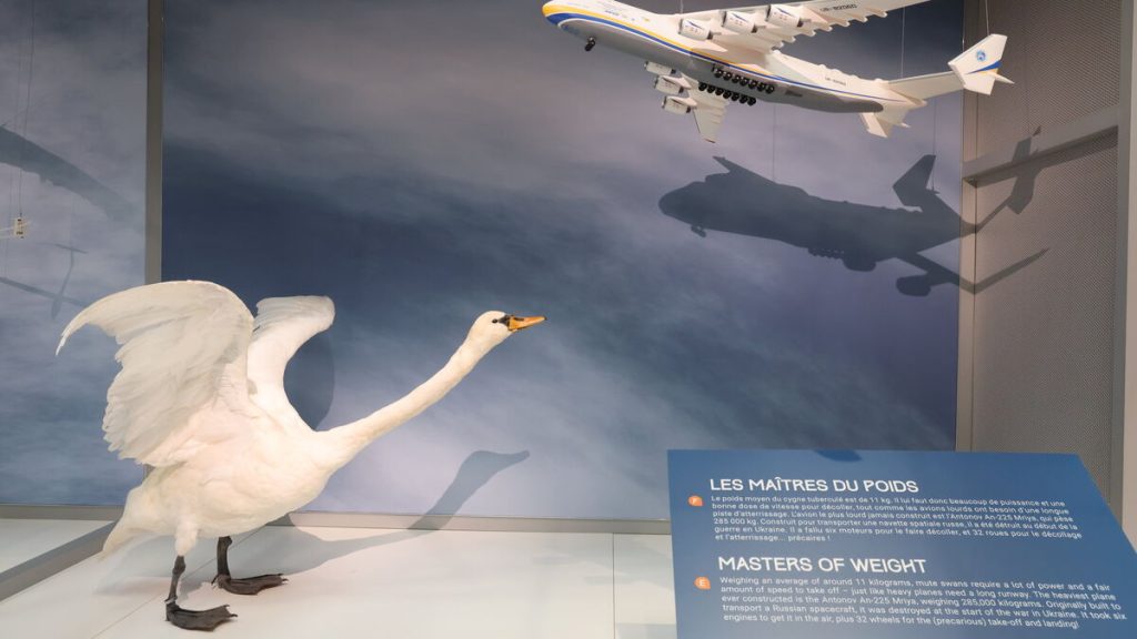 « Flight » au musée de l’Air et de l’Espace, l’expo qui prend de la hauteur