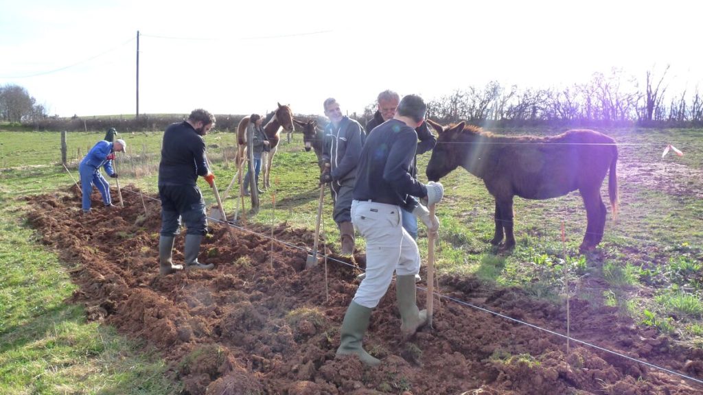« Il y a une prise de conscience » : dans l’Aveyron, les haies ne sont plus un obstacle pour les agriculteurs