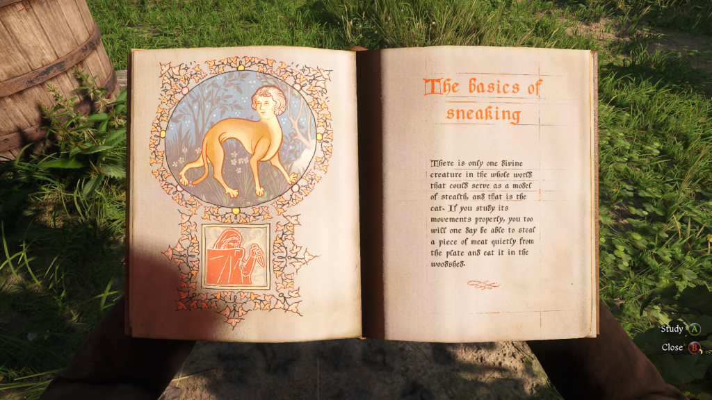 Kingdom Come Deliverance 2 book