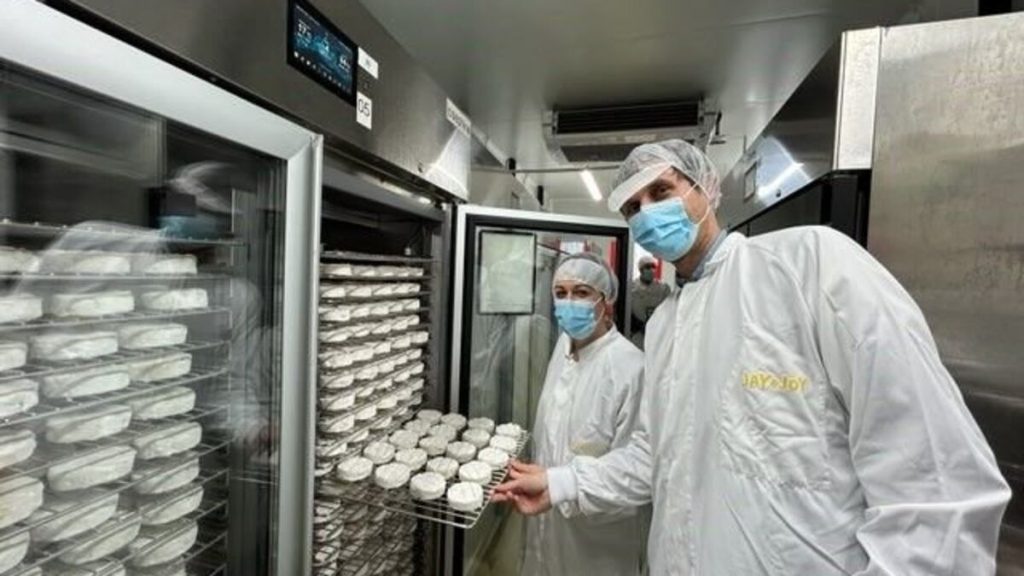 La résurrection de Jay & Joy, leader du fromage végétal, qui rachète son principal concurrent