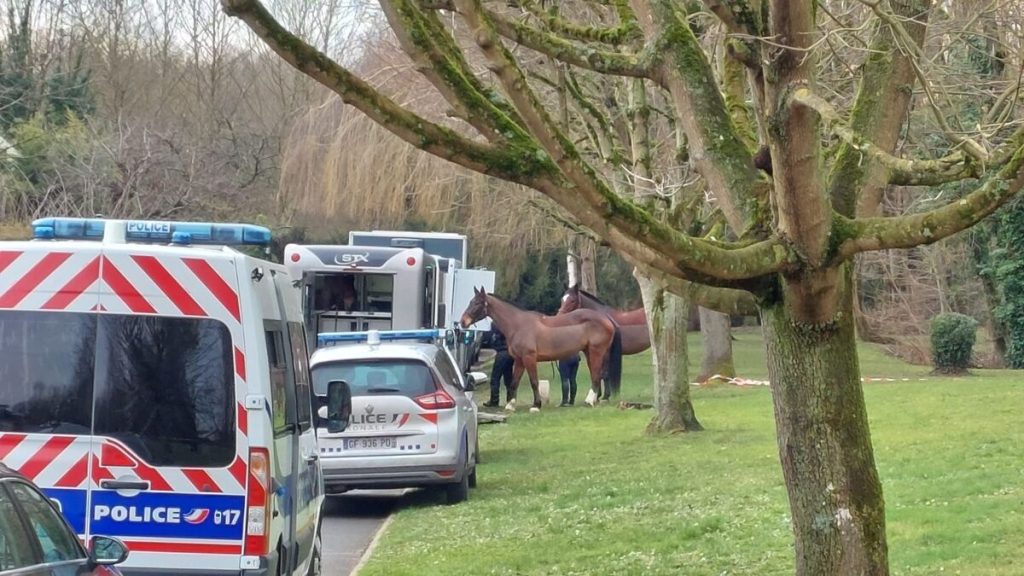 Meurtre de Louise : SDF, connu dans l’Essonne… Ce que l’on sait du profil de l’homme de 23 ans interpellé à Rouen