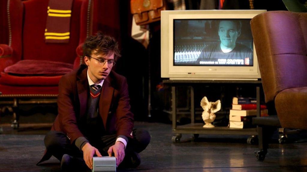 « Molière », « Le Secret des secrets », Harry Potter… Les spectacles à découvrir pendant les vacances