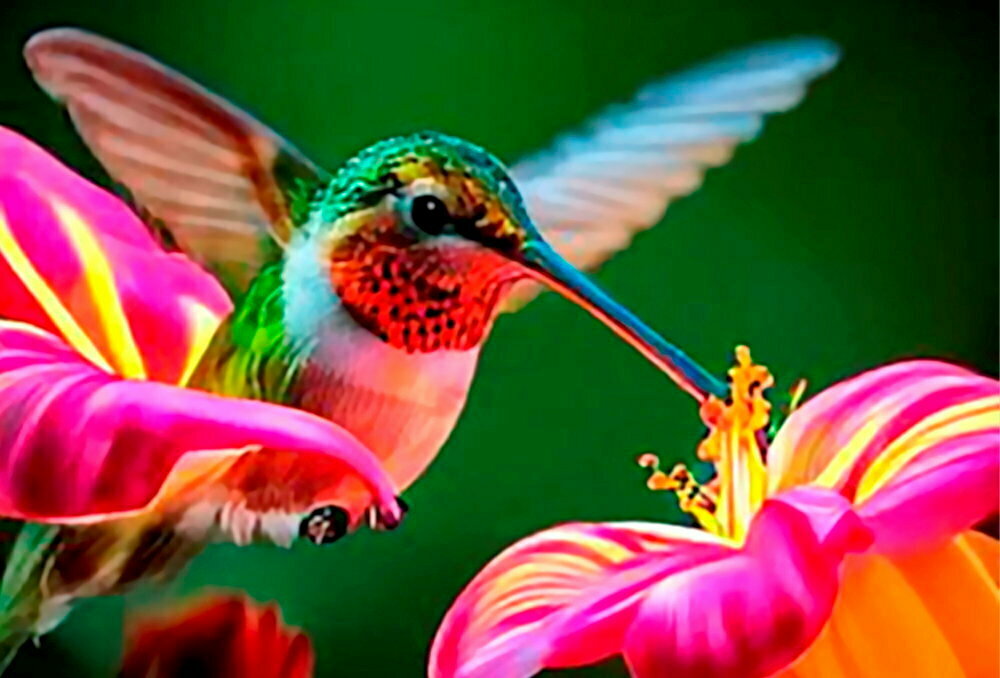 Pourquoi DeepSeek donne des sueurs froides à la Silicon Valley