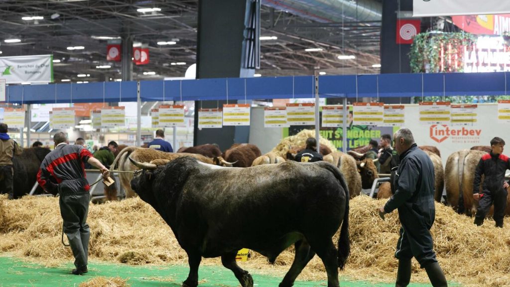 Prix du billet, horaires et concours de choucroute : ce qu’il faut savoir sur le Salon de l’agriculture 2025