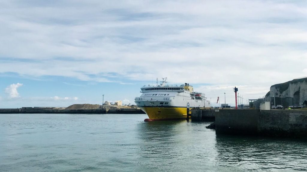 Projet d’extension du port de Dieppe : une association appelle les riverains à déclarer leur jardin comme refuge pour oiseaux