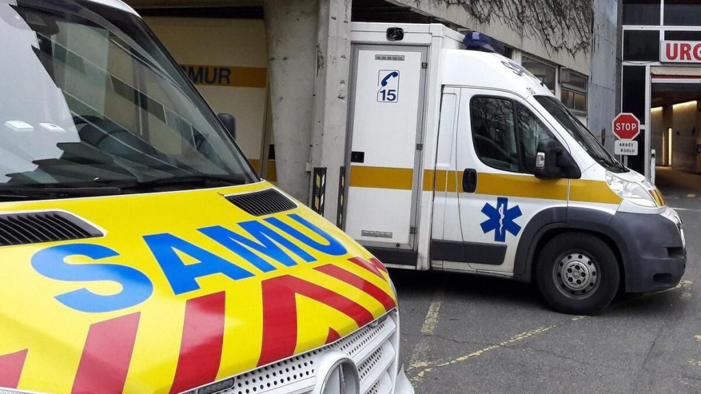 Un bébé de onze mois mordu à mort par le chien de la famille dans le Morbihan