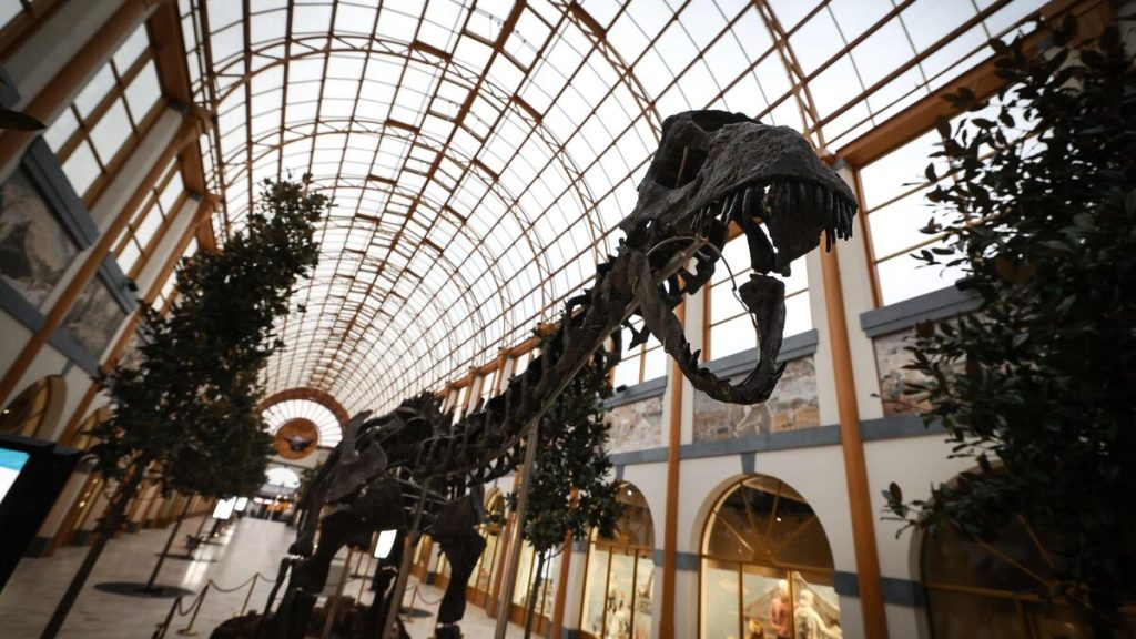 Vulcain, le dinosaure géant de Dampierre-en-Yvelines, vit désormais dans un zoo en Belgique