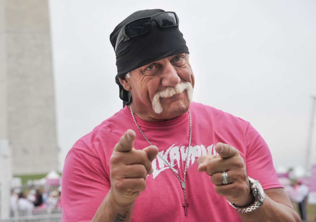 WWE Hulk Hogan