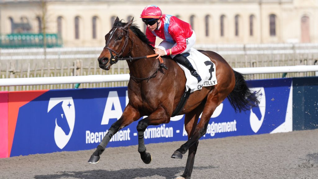 Arrivée du quinté du mardi 4 mars à Chantilly : Hypercore balaye l’opposition