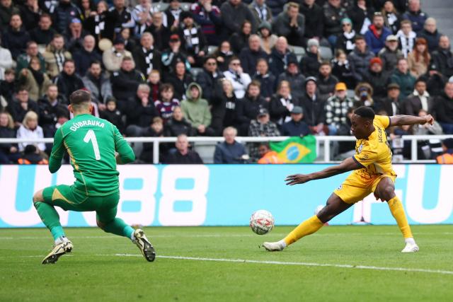 Brighton élimine Newcastle et accède aux quarts de finale de la FA Cup