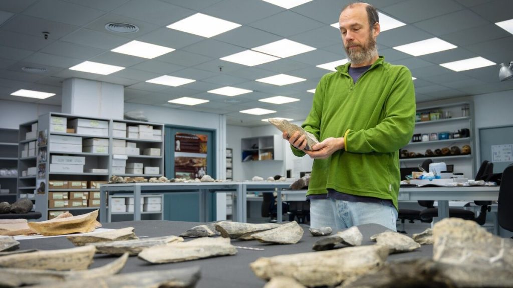 « C’est franchement exceptionnel » : il y a 1,5 million d’années, des primates maîtrisaient déjà la fabrication d’outils en os