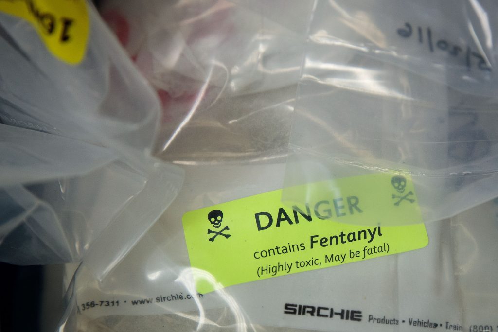 Fentanyl Drug Bust Florida Narcotics Police DEA