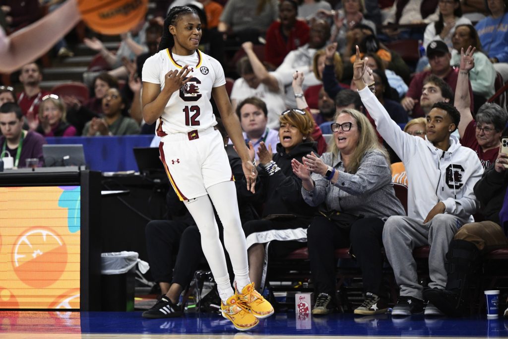 South Carolina Gamecocks