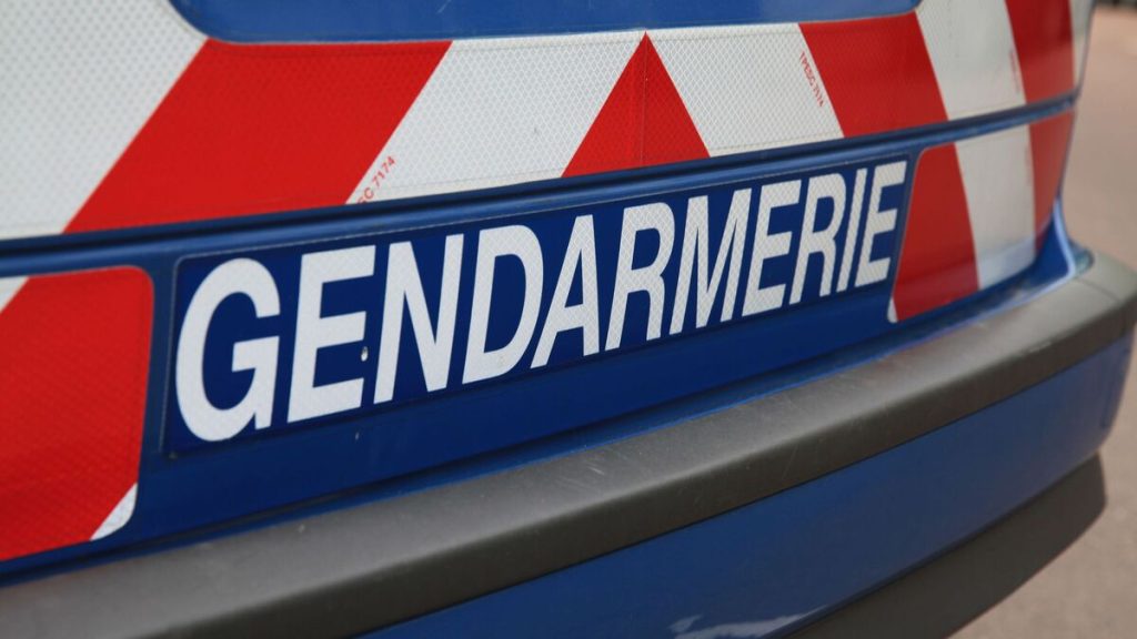Un couple condamné pour avoir décapité sa chienne « pour venger son chat »